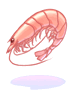 Fresh Lobster