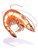 King Shrimp