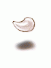 Lamb Horn