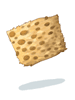Leopard Skin