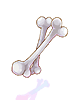 Skeleton Bone