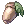 Unripe Acorn
