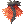 Fire Dragon's Coat [1]