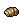 Swamp Bug Shell