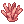 Showy Coral Reef