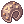 Shiny round shell