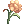 Mantis Flower