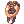 Medal of Honor (Merchant)