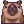 Costume Capybara
