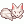 Calming White Fox