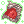 Tristan Imperial Cape-LT [1]