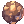 Warnut's Chocolate
