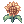 Sunflower [1]