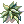 Samambaia [1]