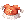 Siege Crown