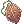 Thorn Plant Seed
