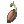 Seed For Experiment