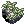 Dew-Laden Moss