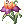 Flor Misteriosa