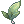 Emerald Leaf