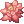 Water Lily