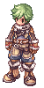 Windfalke (Male)