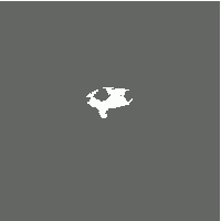Whale Island