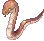Anacondaq