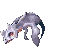 Acidus