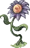 Blue Flower