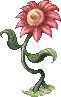 Red Flower
