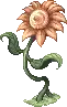 Yellow Flower