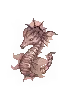 Animação de Monstro