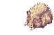 Monster Animation