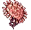 Sea Anemone