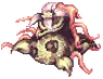 Mandragora