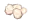 Ant Egg