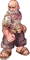 NPC Animation