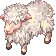 Malnourished Sheep