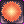Solar Protection